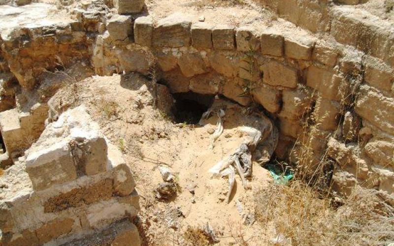 صور: تلة ام عامر السياحية وسط قطاع غزة