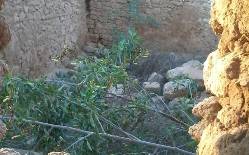 صور: تلة ام عامر السياحية وسط قطاع غزة