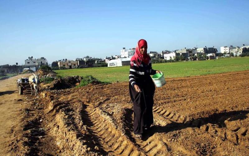 صور: مزارعو غزة في مرمى نيران الاحتلال