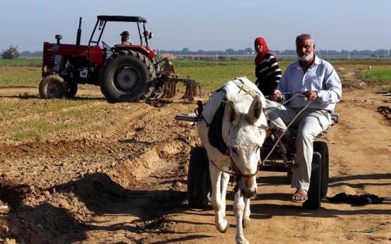 صور: مزارعو غزة في مرمى نيران الاحتلال