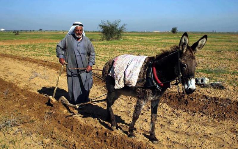 صور: مزارعو غزة في مرمى نيران الاحتلال