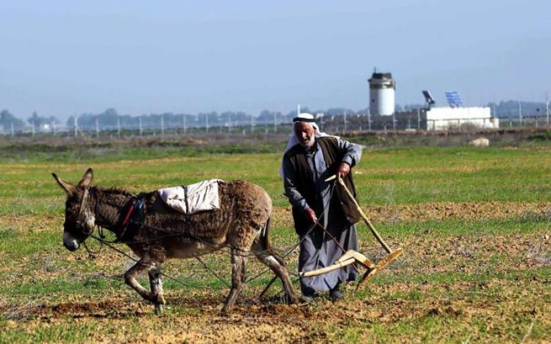 صور: مزارعو غزة في مرمى نيران الاحتلال