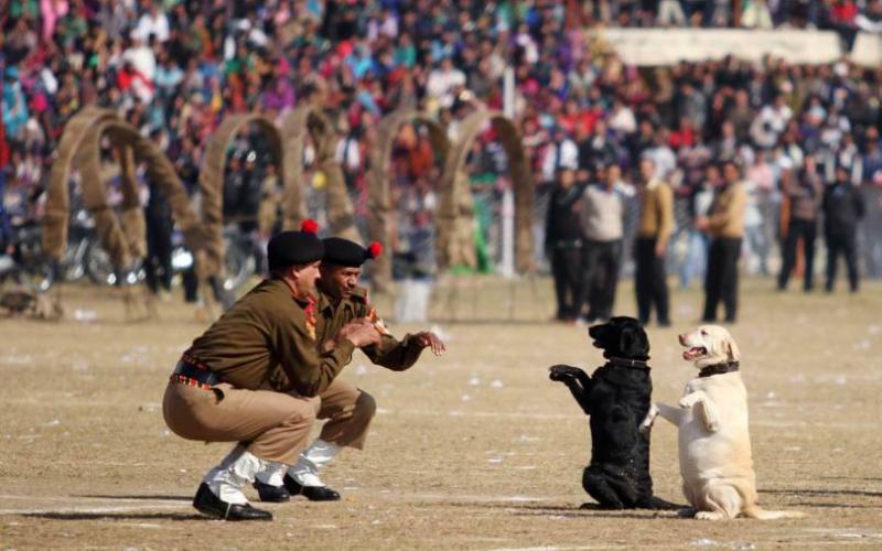 صور: أجمل الصور لعام 2014
