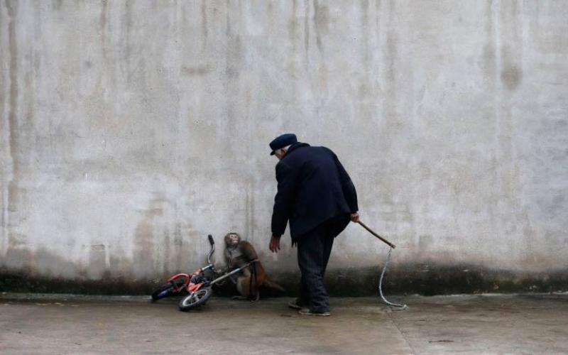 صور: أجمل الصور لعام 2014