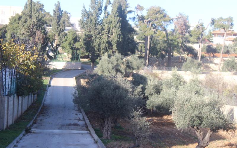 صور: كنيسة أثرية تحتضنها الخليل