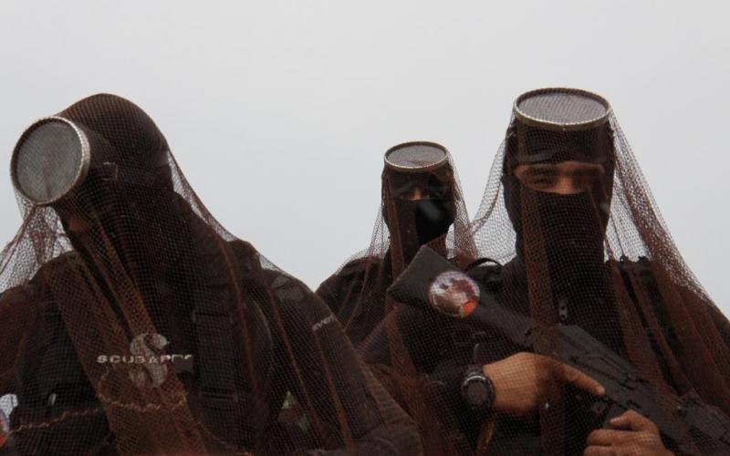 صور: حصرياً..الضفادع البشرية عن قرب