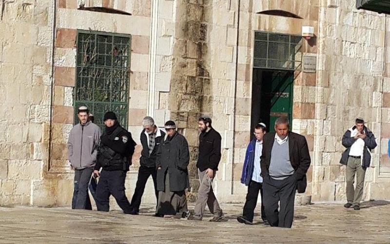 صور:مستوطنون يقتحمون "الأقصى" صباح اليوم
