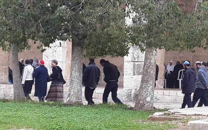 صور:مستوطنون يقتحمون "الأقصى" صباح اليوم