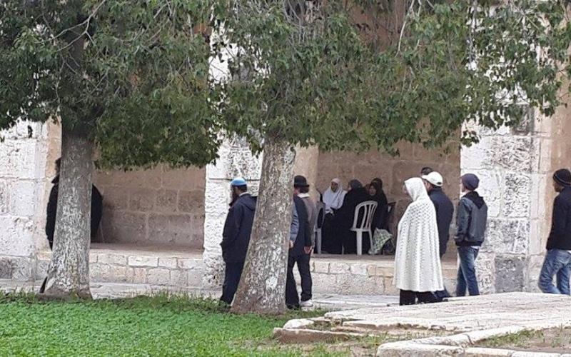 صور:مستوطنون يقتحمون "الأقصى" صباح اليوم