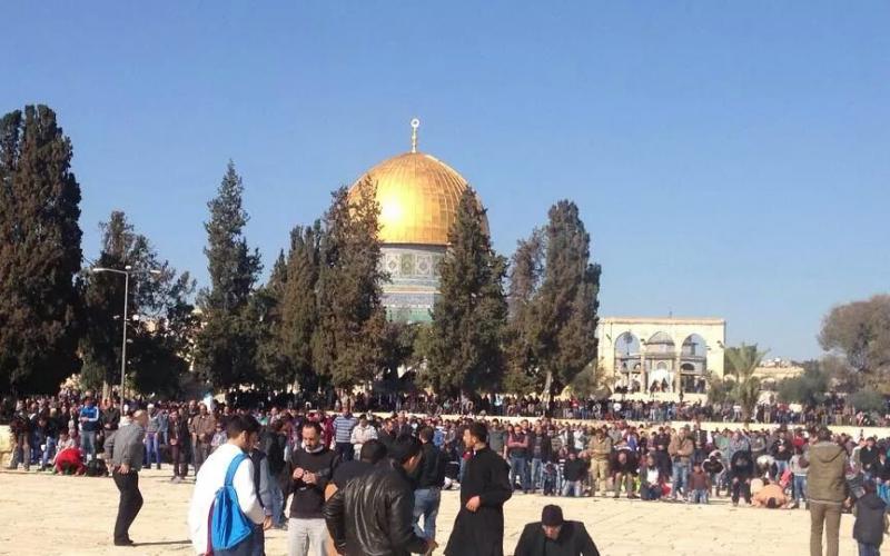 صور: 55 ألفاً يصلون الجمعة بالأقصی