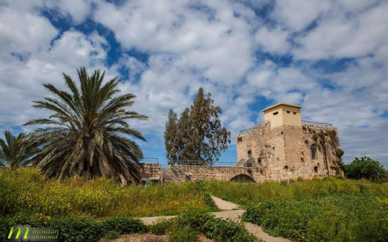 صور: الجمال الساحر في "عكا" المحتلة