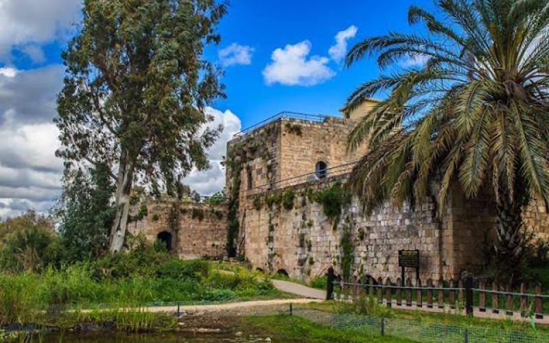 صور: الجمال الساحر في "عكا" المحتلة
