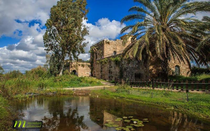 صور: الجمال الساحر في "عكا" المحتلة