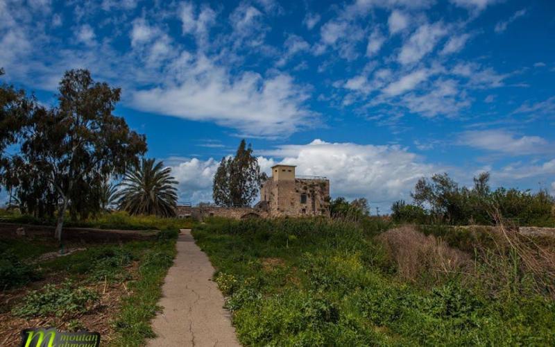 صور: الجمال الساحر في "عكا" المحتلة