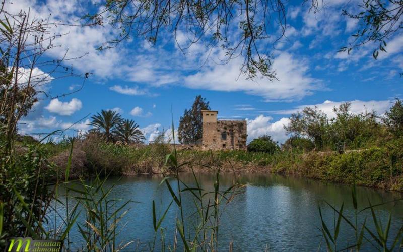 صور: الجمال الساحر في "عكا" المحتلة
