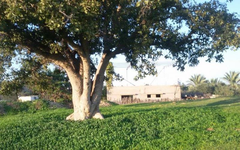 صور: الحدود الشرقية لمنطقة الوسطى بالقطاع