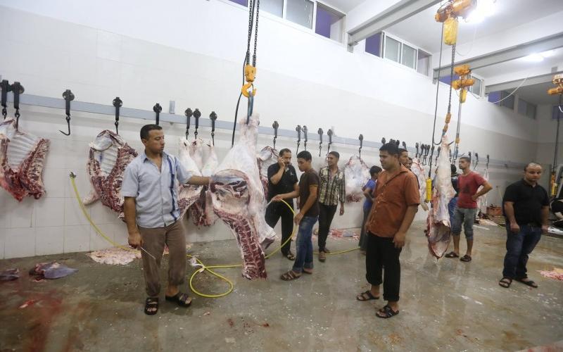 بالصور: بلدية خان يونس تُشغل مسلخها الجديد