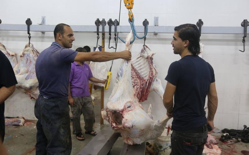 بالصور: بلدية خان يونس تُشغل مسلخها الجديد