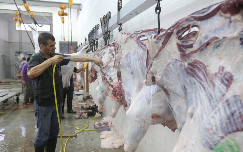 بالصور: بلدية خان يونس تُشغل مسلخها الجديد