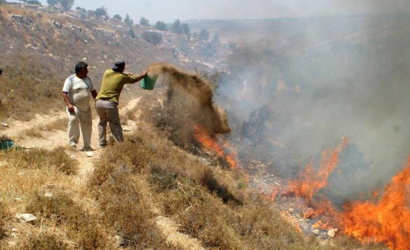 مستوطنون يضرمون النار في أراضي حوسان غرب بيت لحم | فلسطين الآن
