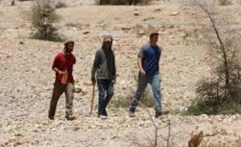 مستوطنون يداهمون تجمع "حلق الرمان" غرب أريحا