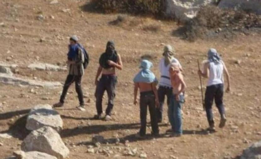 مستوطنون يهاجمون تجمع وادي أبو الحيات غرب العوجا شمال أريحا