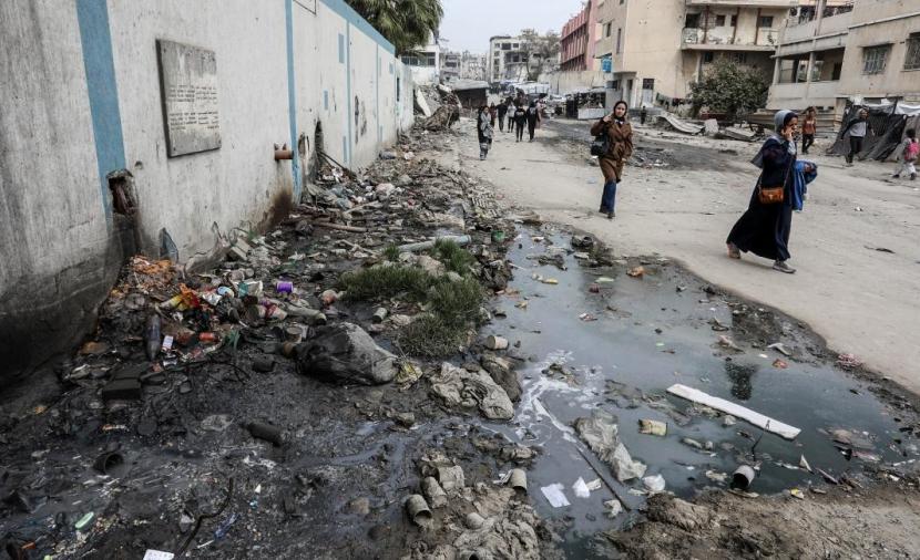 القوارض والبعوض تهديد مباشر لحياة نازحي غزة