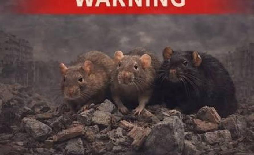 سلاح بيولوجي في غزة: فئران تنهش أجساد النائمين وإسرائيل تمنع السم