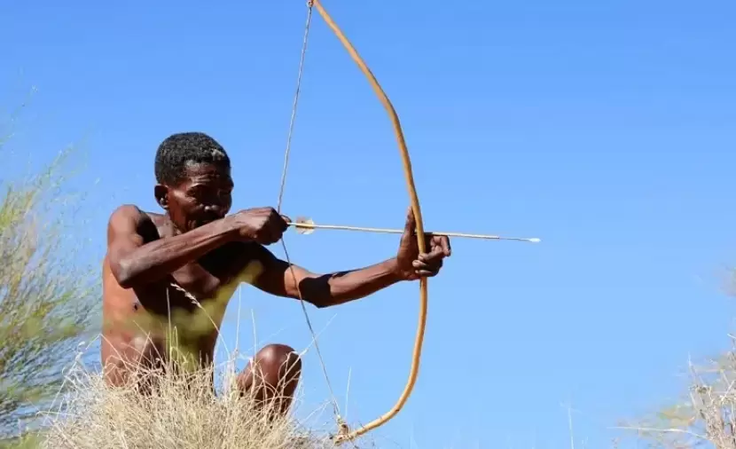 كيف استخدم البشر الأوائل النباتات السامة في الصيد؟