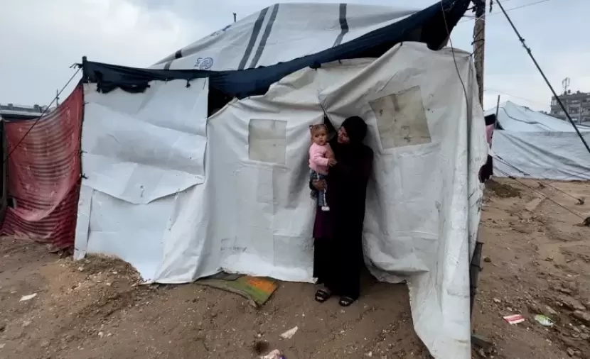 وزارة التنمية: عدد الأرامل ارتفع في غزة إلى 28,224