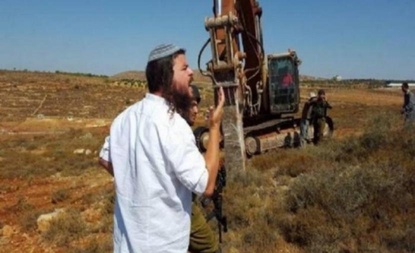 مستوطن يُطلق مواشيه في أراضي الطيبة شرق رام الله