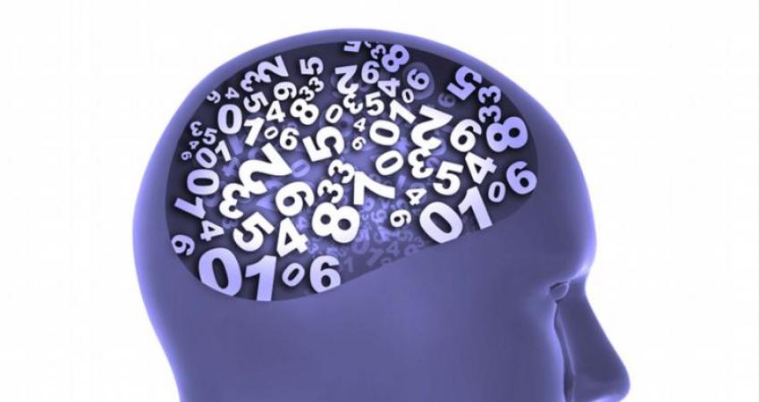 441 (2)