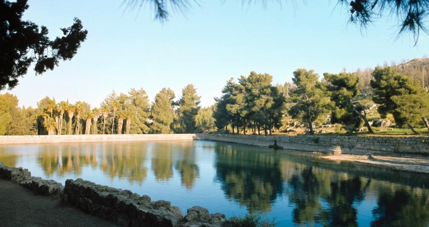 Solomon-pool-1