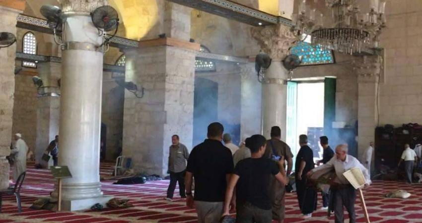 13466368_1434658756576540_1904532597188025116_n