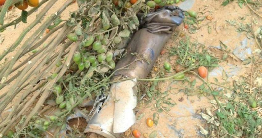 17861677_315954665488143_8406499243473024000_n