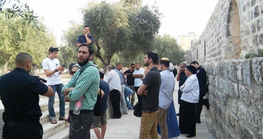 14034832_1507283169314098_4193839698939834533_n