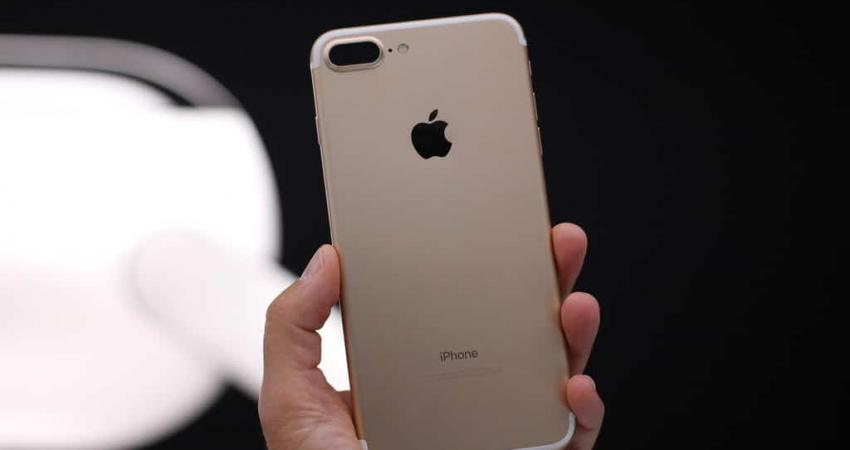 28954793574_d7047ba8bd_b