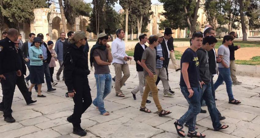 17523007_1866666403375771_8338114655892380200_n