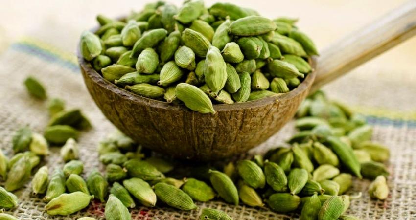 طبقبذورالهيل