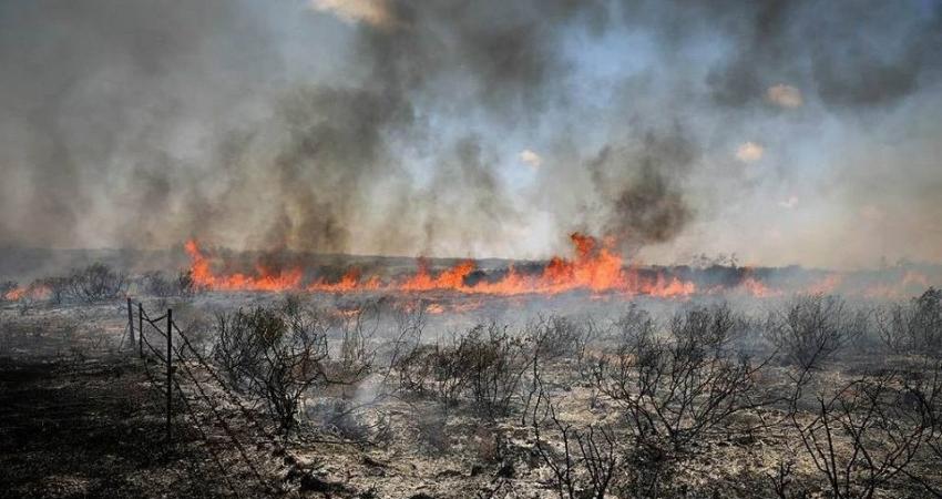 81665