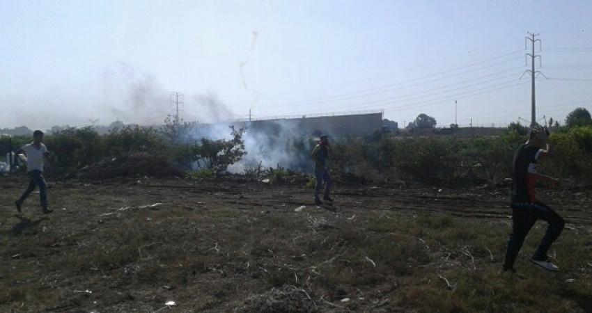 Zello_Palpress_20151016_064034