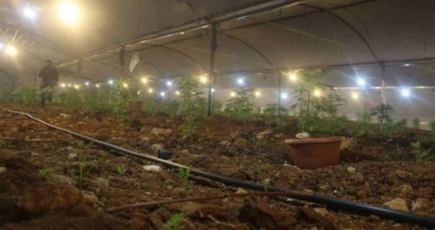 02086692201418520338868823588808