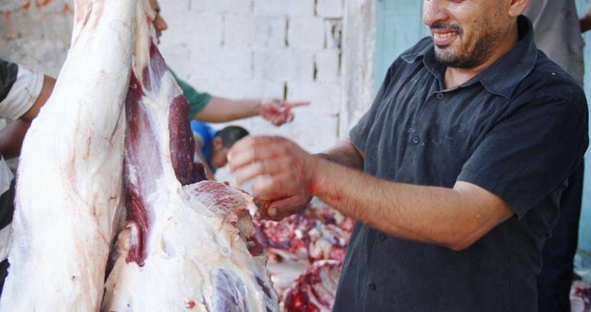 الكرد: 200 ألف عائلة ستستفيد من لحوم الأضاحي بغزة