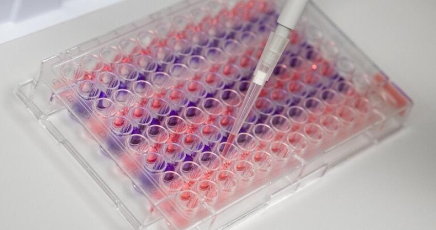 5e6f36aa42360458bd574844