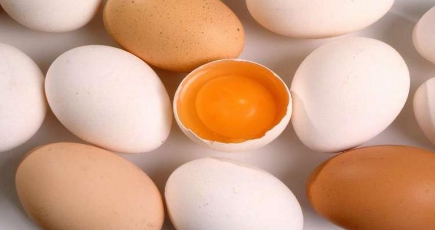 أسباب تدعو لتناول بيض الدجاج بانتظام!