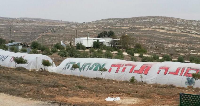 عامونا