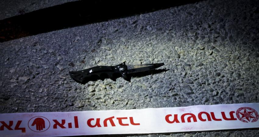 84ffa00a7f7f495de82d9b53c32b14d7