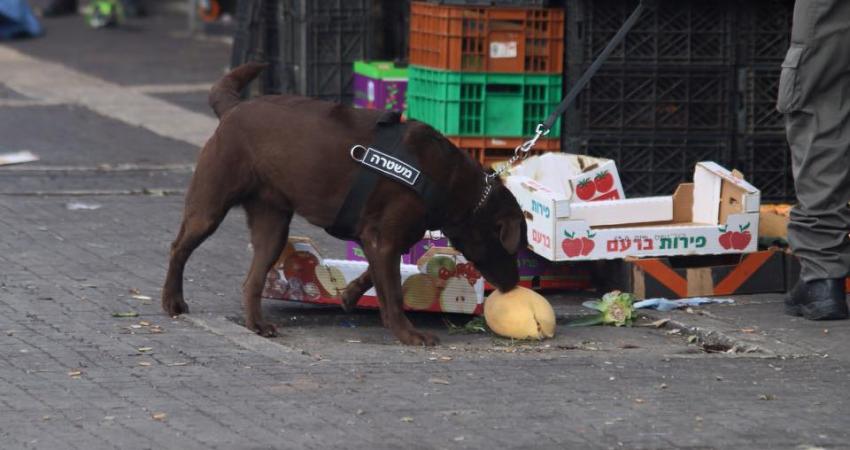 11140058_10154282134164097_2821199527287316561_n