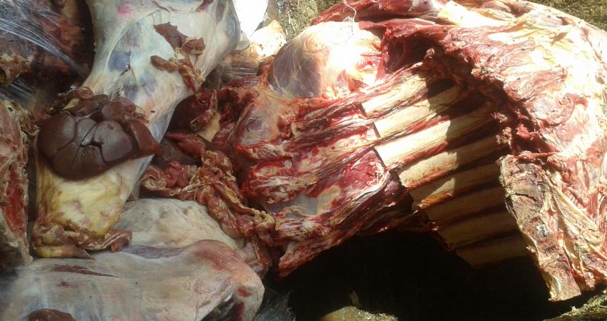 be2da2e34f643878f7875a771df65c9a