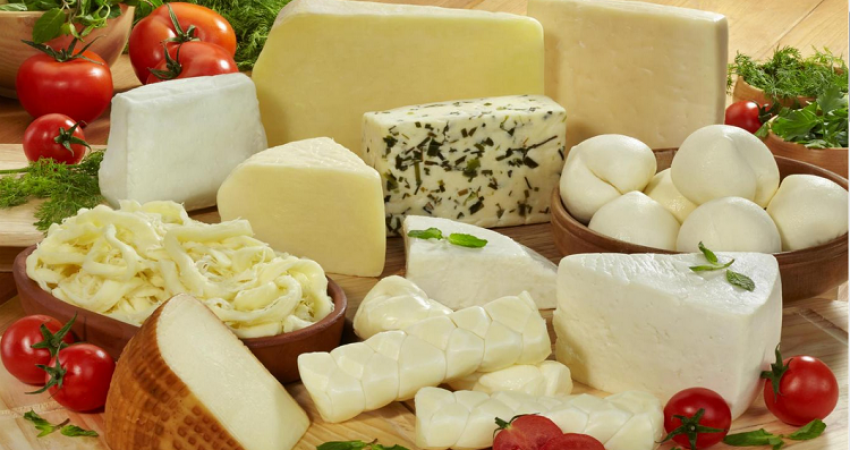 دراسة: تناول الجبنة يطيل عمر الإنسان